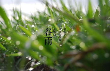 4.19【毓·文化】谷雨丨春夏之交,雨生百谷169.png